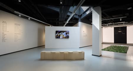 Yue & Yue: Yue Art Museum + Yue Equestrian Hall